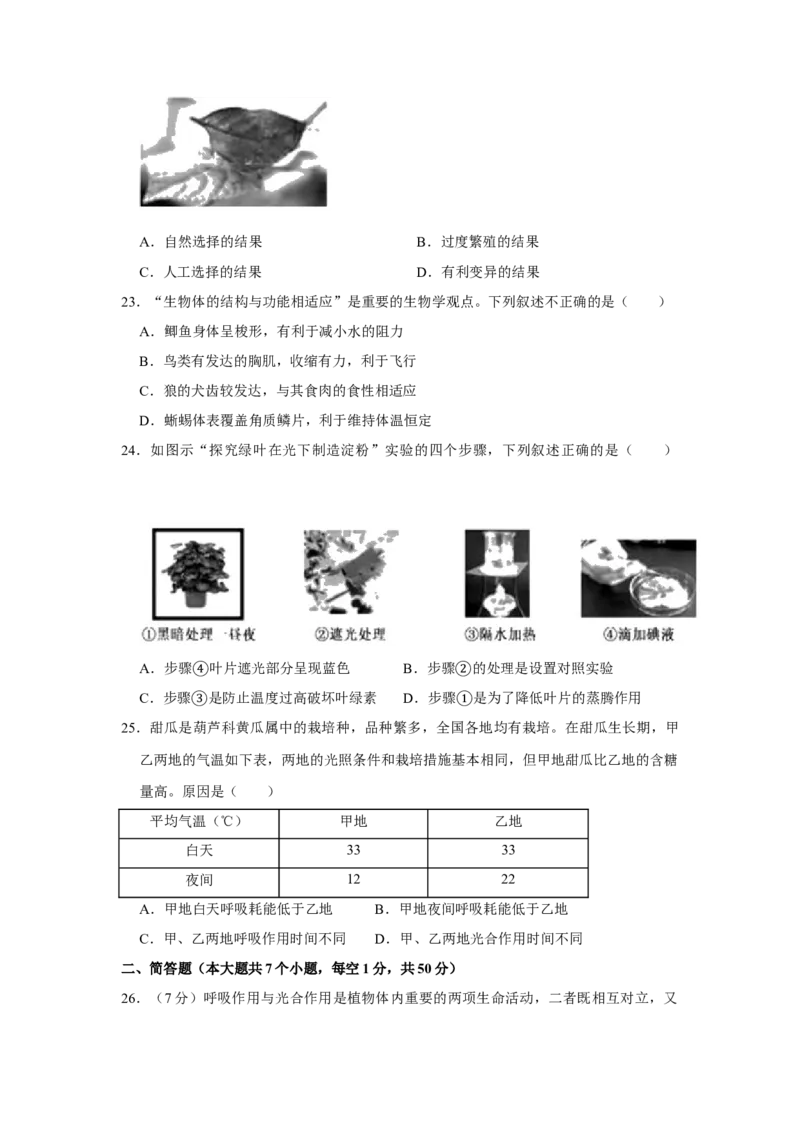 2020年中考生物试卷解析版_8.生物中考真题2015-2024年_地区卷_山东省_山东德州生物11-20