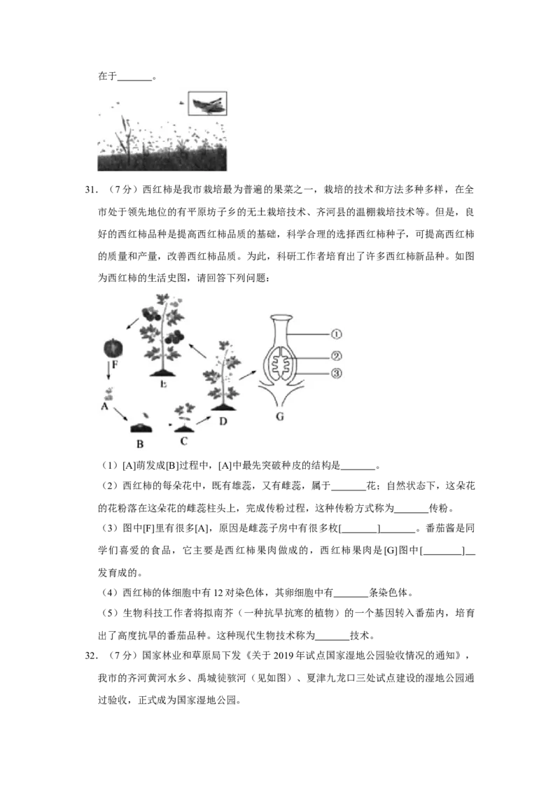 2020年中考生物试卷解析版_8.生物中考真题2015-2024年_地区卷_山东省_山东德州生物11-20