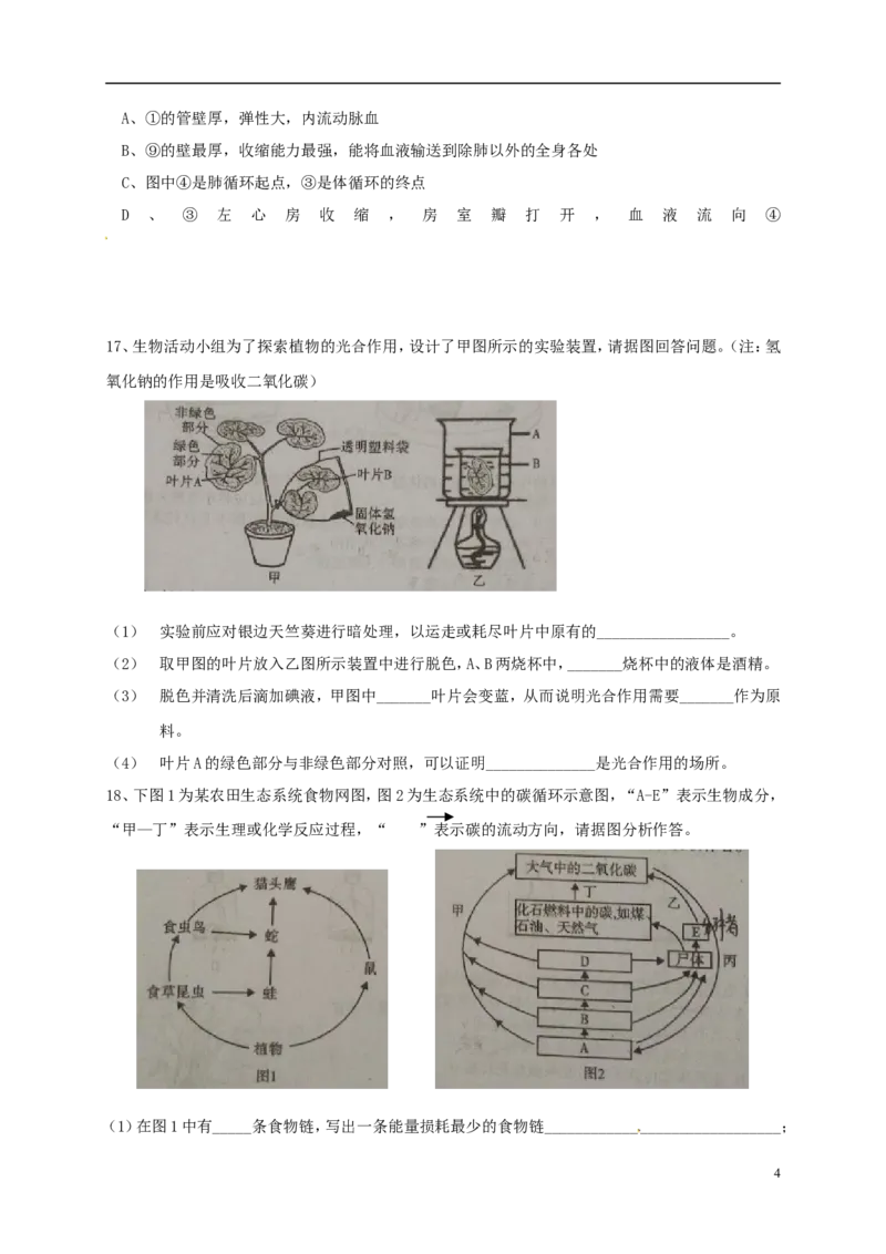 四川省内江市2017年中考生物真题试题（含答案）_8.生物中考真题2015-2024年_2017年全国中考生物124份