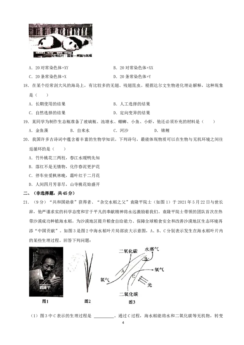 2021年四川省成都市中考生物真题（解析版）_8.生物中考真题2015-2024年_2021中考生物真题64份_2021四川