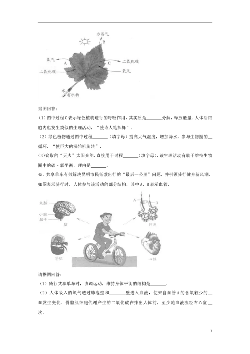 云南省昆明市2017年中考生物真题试题（含解析）_8.生物中考真题2015-2024年_2017年全国中考生物124份