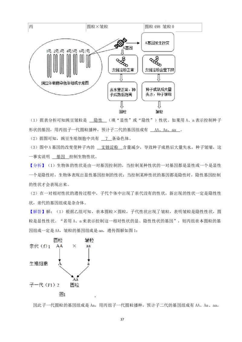 2022年湖南省湘潭市中考生物试卷（解析版）_8.生物中考真题2015-2024年_地区卷_湖南省_湖南湘潭生物18-22