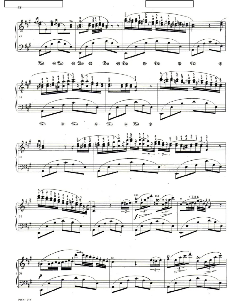 遗作&middot;纪念帕格尼尼_一万首著名钢琴曲谱哈农贝多芬合集视频教学电子版高清无水印可打印_1古典钢琴知名音乐家谱_肖邦钢琴谱全集