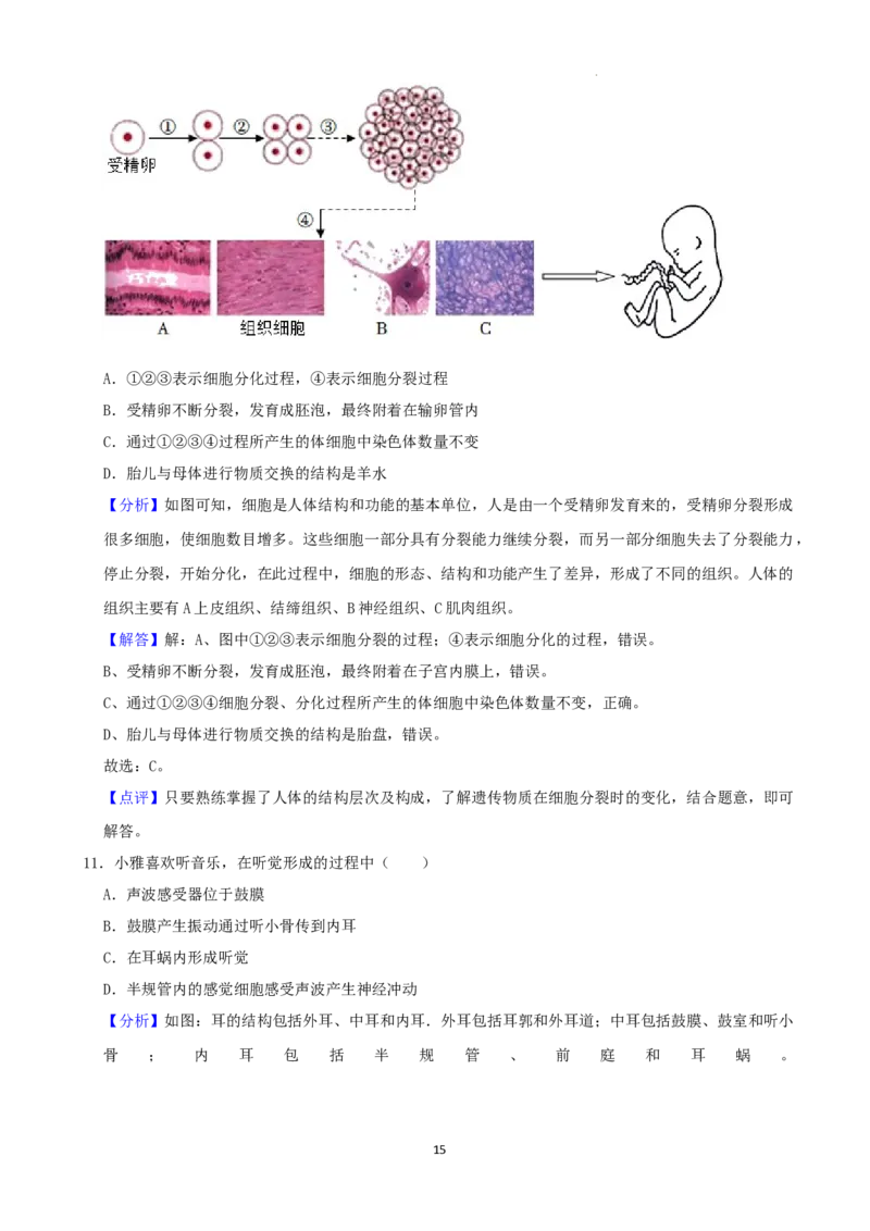 2022年湖南省娄底市中考生物试卷（解析版）_8.生物中考真题2015-2024年_地区卷_湖南省_湖南娄底生物18-22