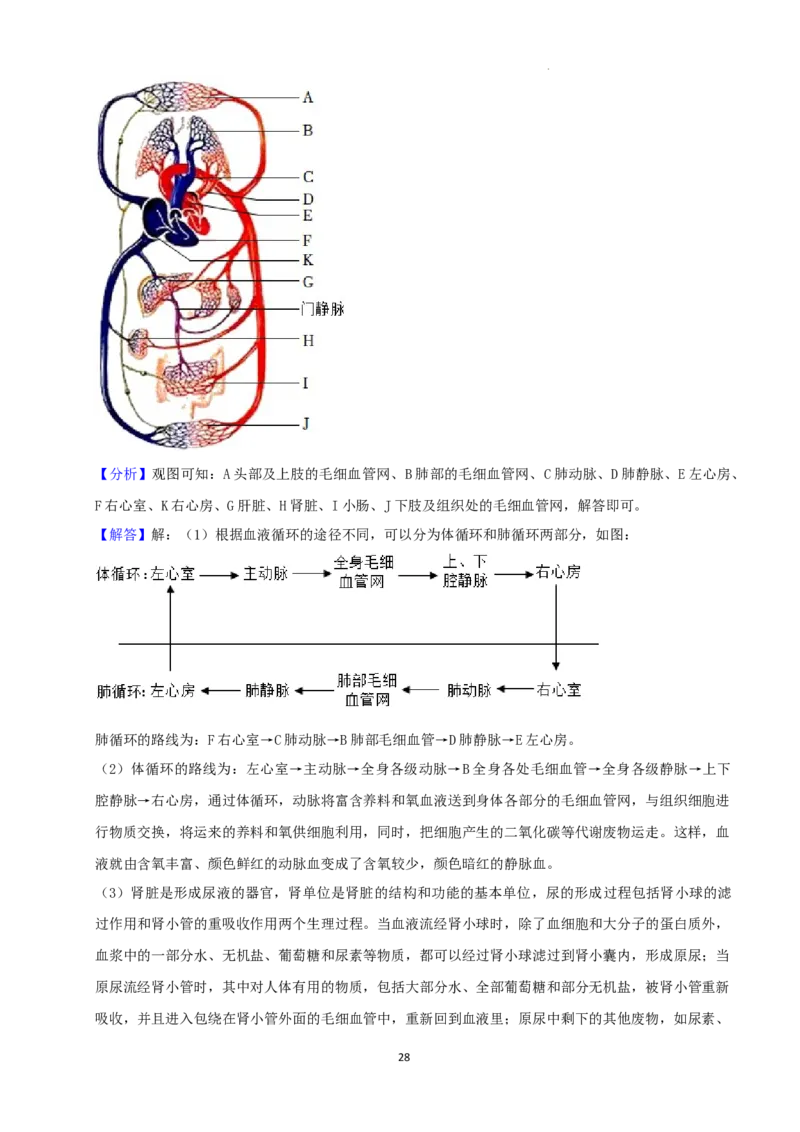 2022年湖南省娄底市中考生物试卷（解析版）_8.生物中考真题2015-2024年_地区卷_湖南省_湖南娄底生物18-22