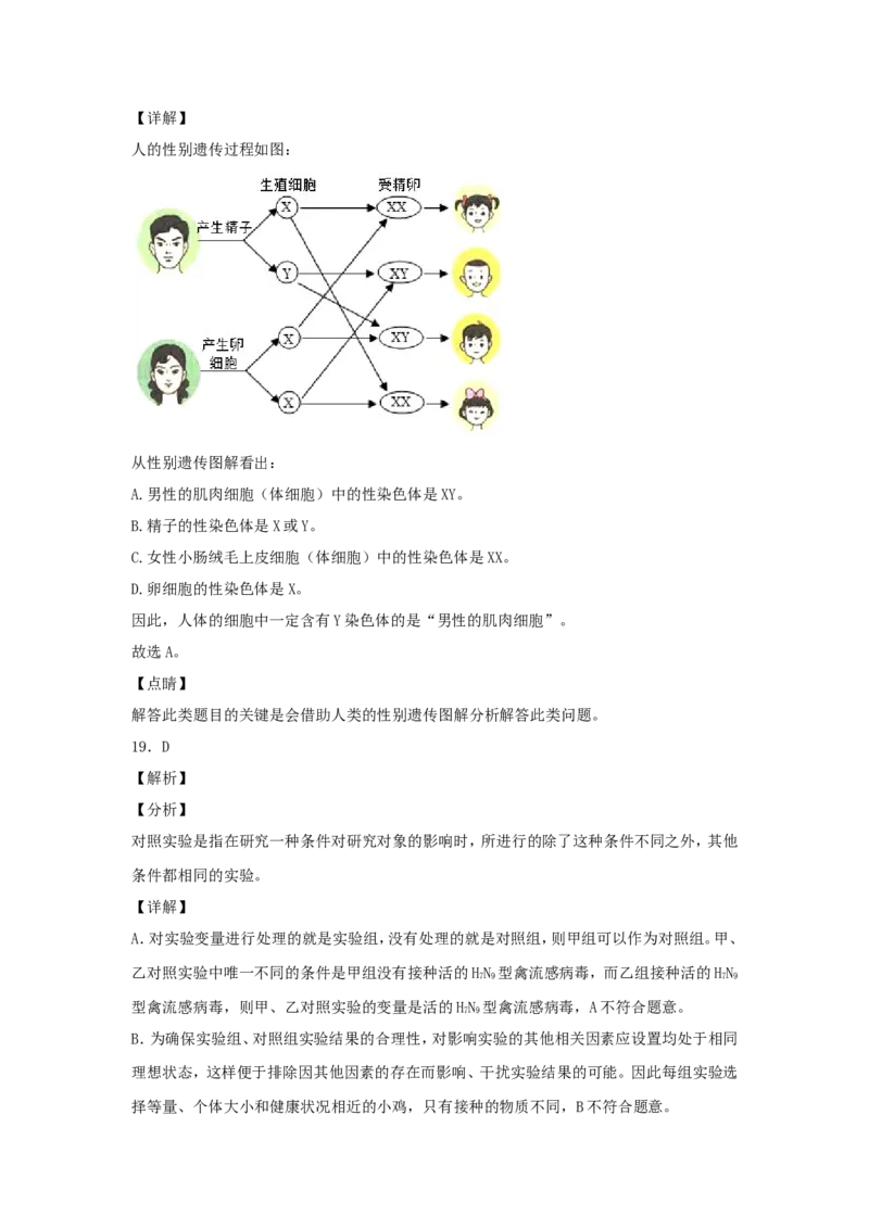 2020年湖南省湘潭市中考生物真题及答案_8.生物中考真题2015-2024年_地区卷_湖南省_湖南湘潭生物18-22