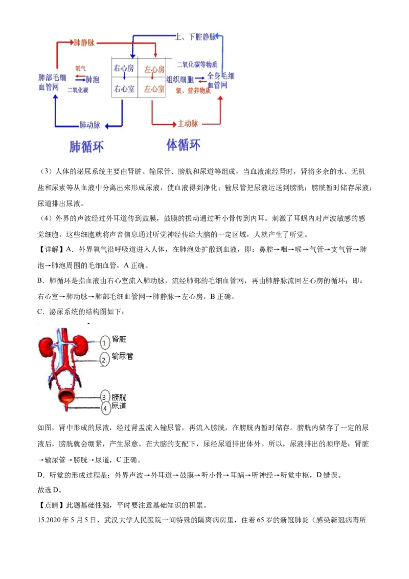 2020年解析_8.生物中考真题2015-2024年_地区卷_山东省_菏泽生物10-22