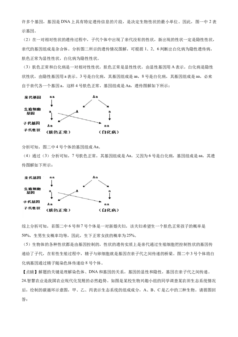 2020年解析_8.生物中考真题2015-2024年_地区卷_山东省_菏泽生物10-22