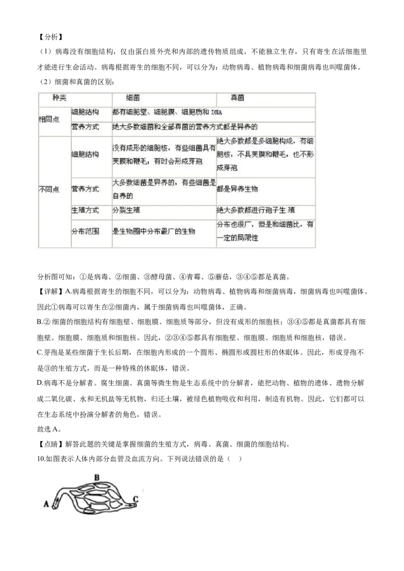 2020年解析_8.生物中考真题2015-2024年_地区卷_山东省_菏泽生物10-22