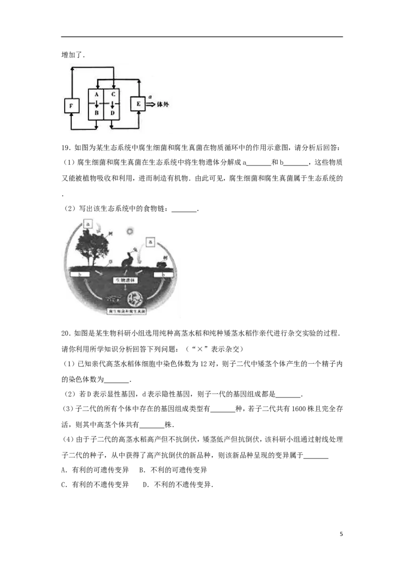 四川省南充市2017年中考生物真题试题（含解析）_8.生物中考真题2015-2024年_2017年全国中考生物124份