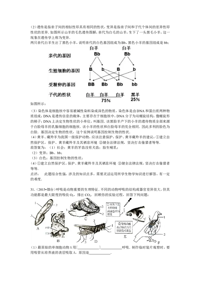 2015烟台市中考生物试题及答案(word版)_8.生物中考真题2015-2024年_地区卷_山东省_烟台中考生物08-22