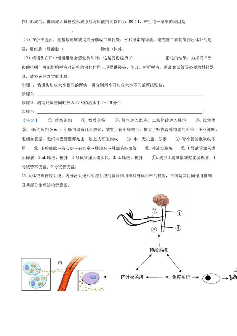 2021年山东省潍坊市中考生物试题_8.生物中考真题2015-2024年_2021中考生物真题64份_2021山东省
