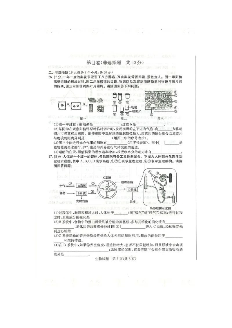 2020年山东滨州中考生物真题及答案_8.生物中考真题2015-2024年_地区卷_山东省_山东滨州生物18-20