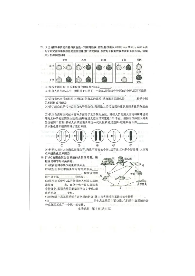 2020年山东滨州中考生物真题及答案_8.生物中考真题2015-2024年_地区卷_山东省_山东滨州生物18-20