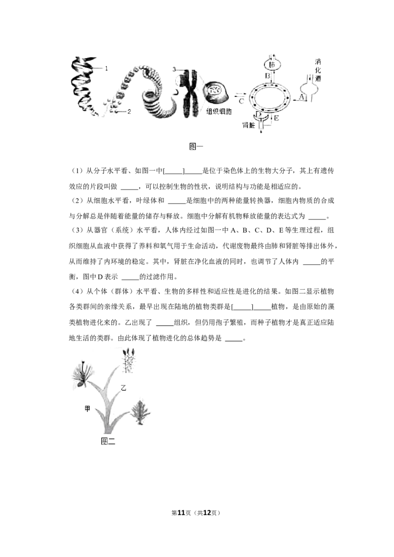 2021年山东省烟台市中考生物真题（原卷版）_8.生物中考真题2015-2024年_地区卷_山东省_烟台中考生物08-22