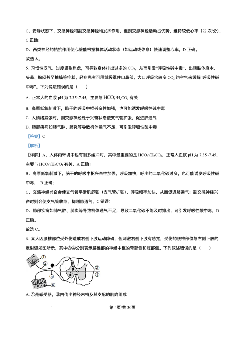 -山东省济南第一中学2025-2026学年高二上学期期中考试生物试题含答案_251218山东省济南第一中学2025-2026学年高二上学期期中学情检测