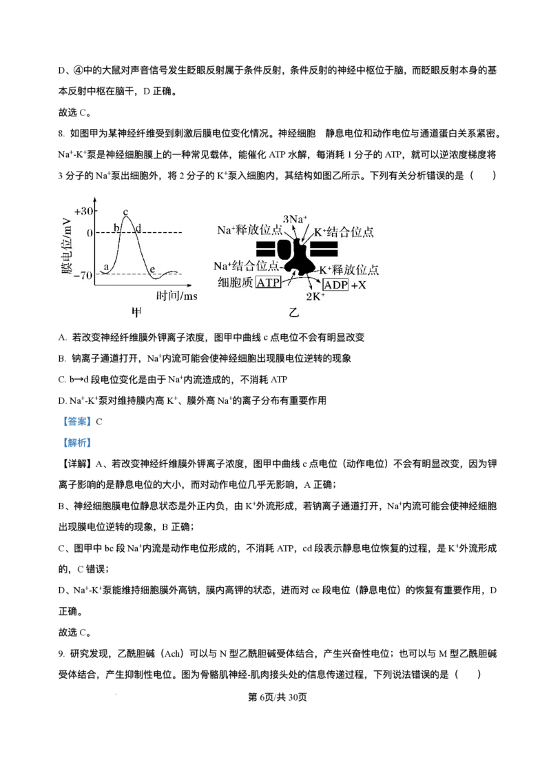 -山东省济南第一中学2025-2026学年高二上学期期中考试生物试题含答案_251218山东省济南第一中学2025-2026学年高二上学期期中学情检测