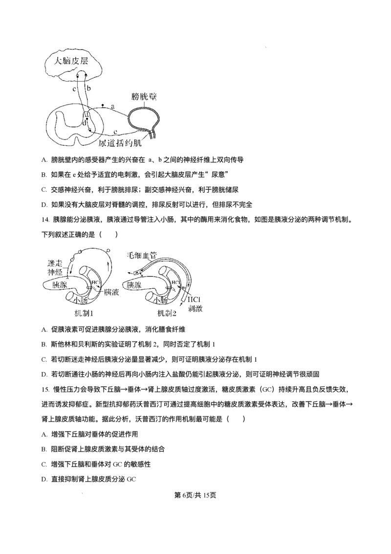 -山东省济南第一中学2025-2026学年高二上学期期中考试生物试题含答案_251218山东省济南第一中学2025-2026学年高二上学期期中学情检测