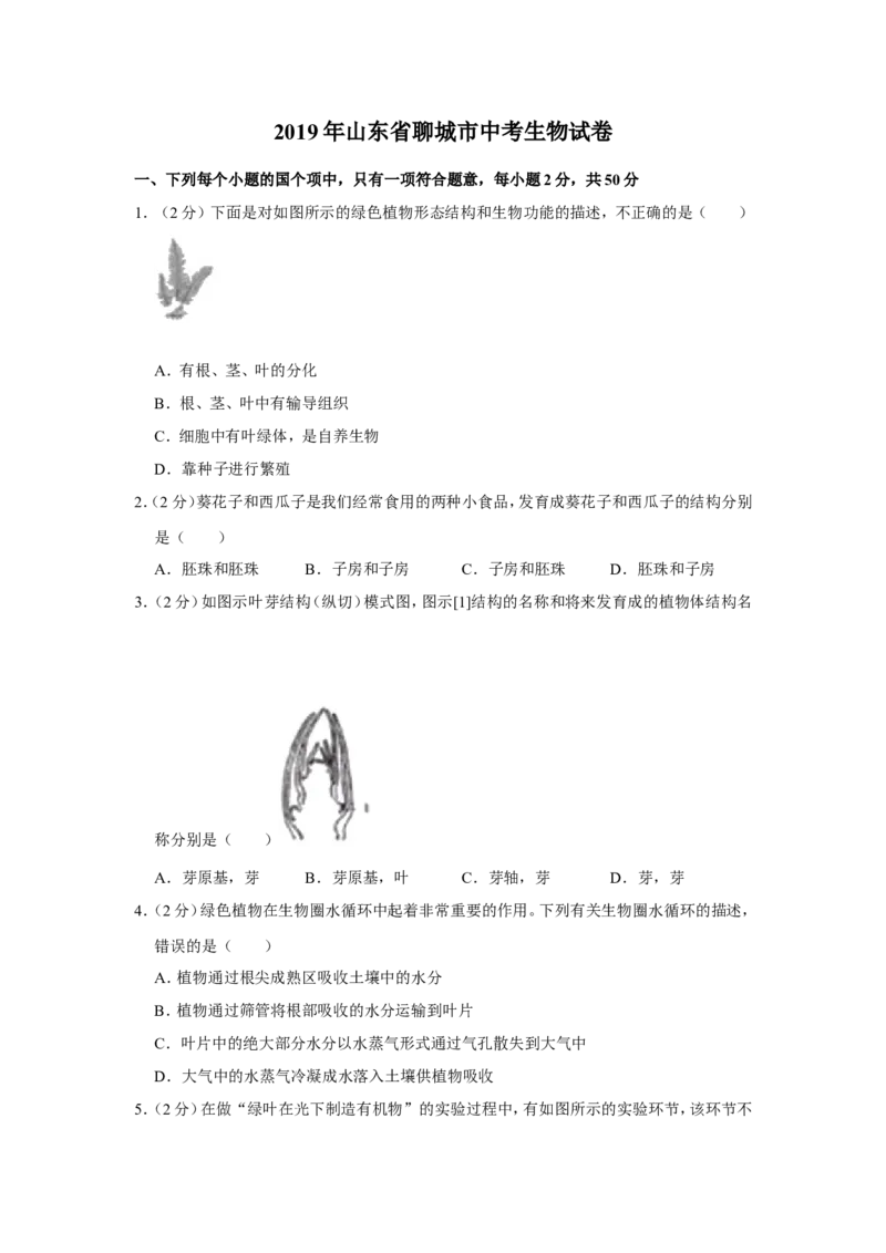 2019年聊城市中考生物试卷及答案_8.生物中考真题2015-2024年_地区卷_山东省_山东聊城生物10-22