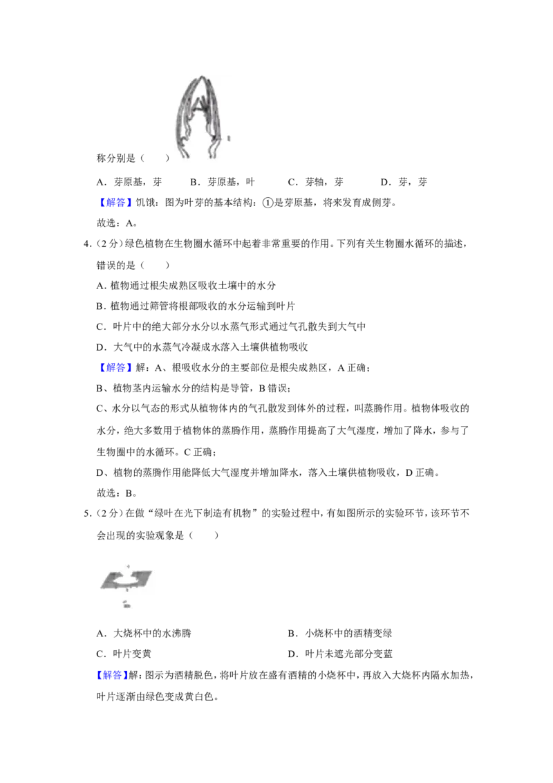 2019年聊城市中考生物试卷及答案_8.生物中考真题2015-2024年_地区卷_山东省_山东聊城生物10-22