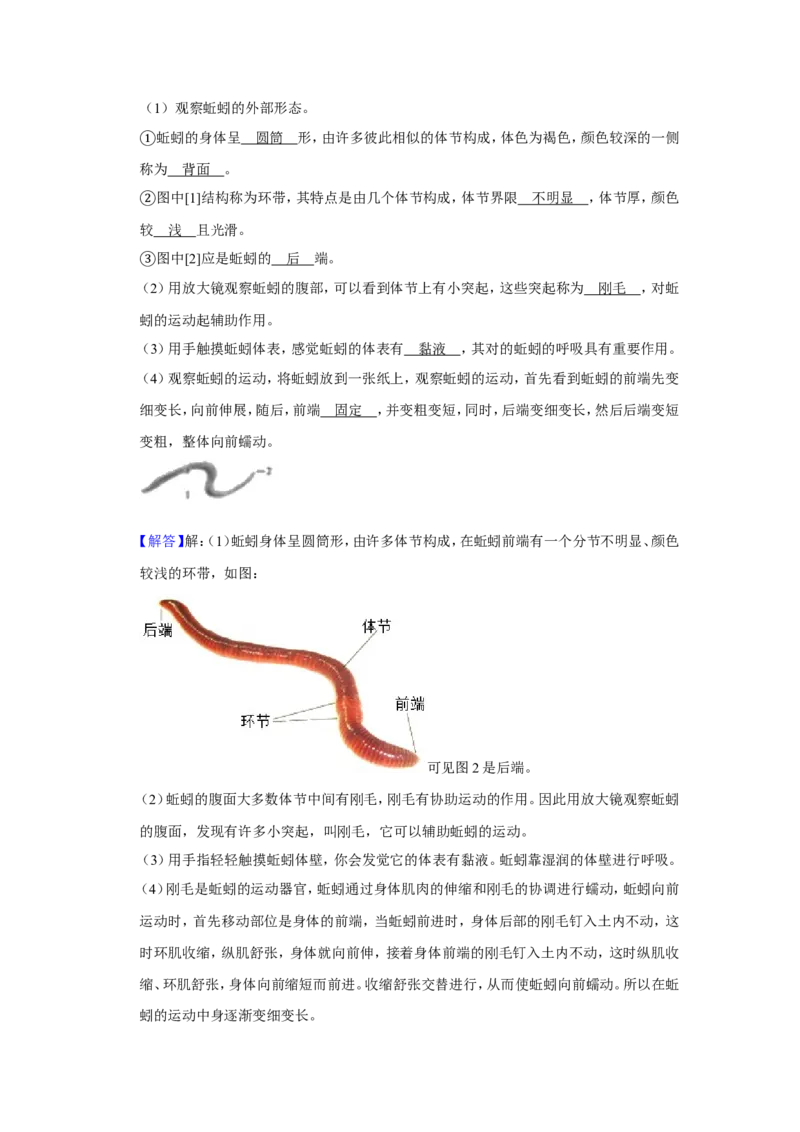 2019年聊城市中考生物试卷及答案_8.生物中考真题2015-2024年_地区卷_山东省_山东聊城生物10-22