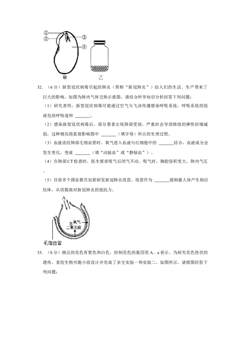2020年广西省柳州市中考生物试题（空白卷）_8.生物中考真题2015-2024年_地区卷_广西省_柳州生物2016-2020