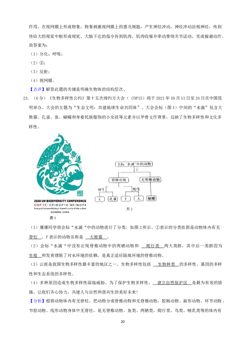 2021年河南省中考生物试卷（word，解析版）_8.生物中考真题2015-2024年_2021中考生物真题64份_​2021河南​
