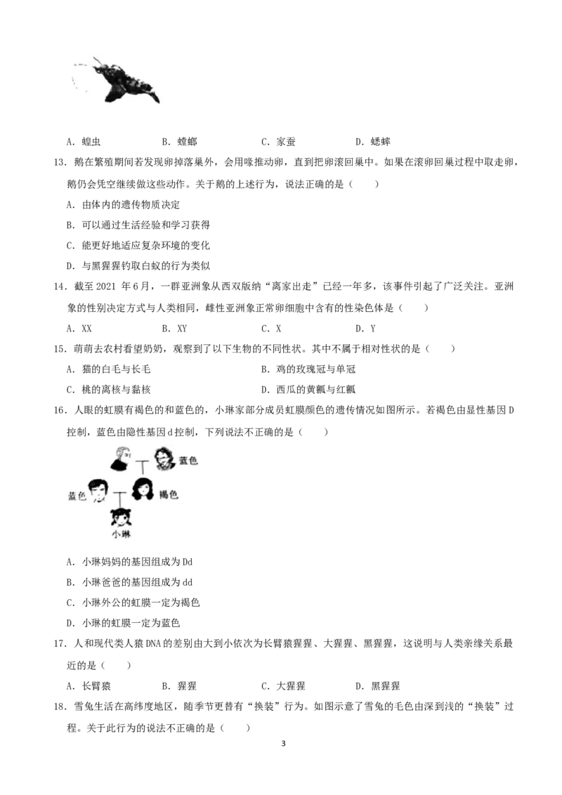 2021年河南省中考生物试卷（word，解析版）_8.生物中考真题2015-2024年_2021中考生物真题64份_​2021河南​