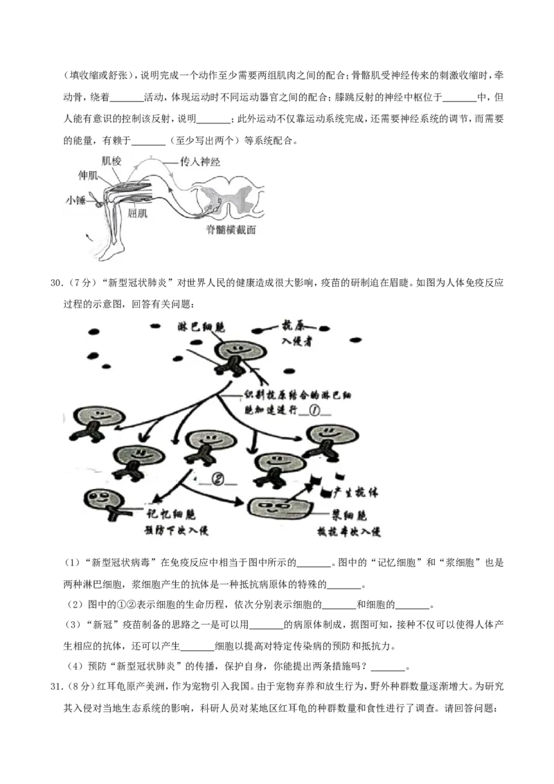2020年湖南省株洲市中考生物真题及答案_8.生物中考真题2015-2024年_地区卷_湖南省_湖南株洲生物19-22