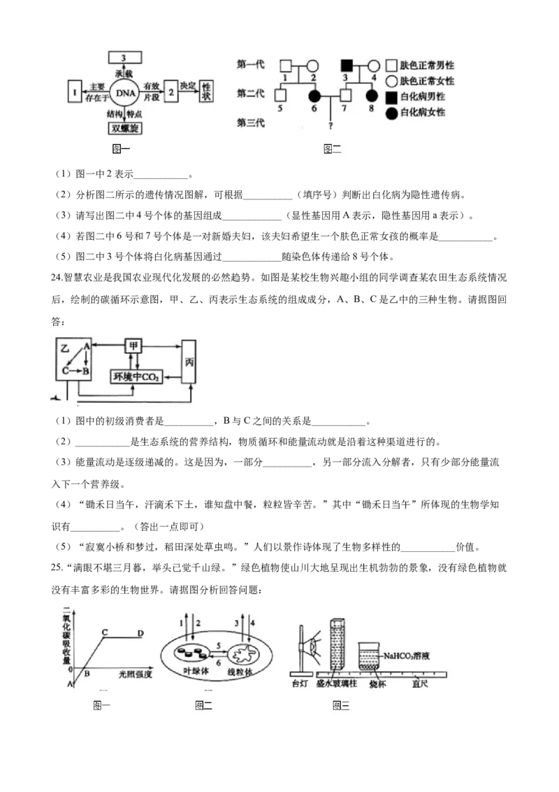 2020年中考生物试题_8.生物中考真题2015-2024年_地区卷_山东省_菏泽生物10-22