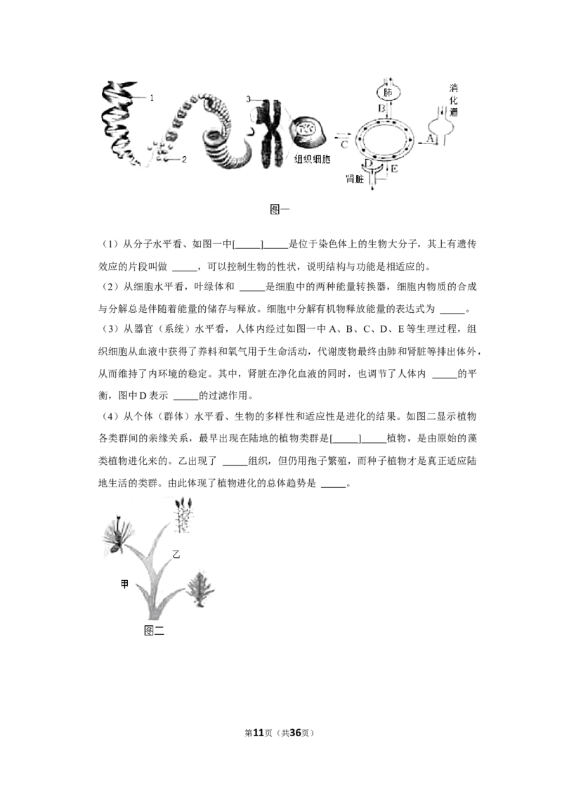 2021年山东省烟台市中考生物真题（解析版）_8.生物中考真题2015-2024年_地区卷_山东省_烟台中考生物08-22