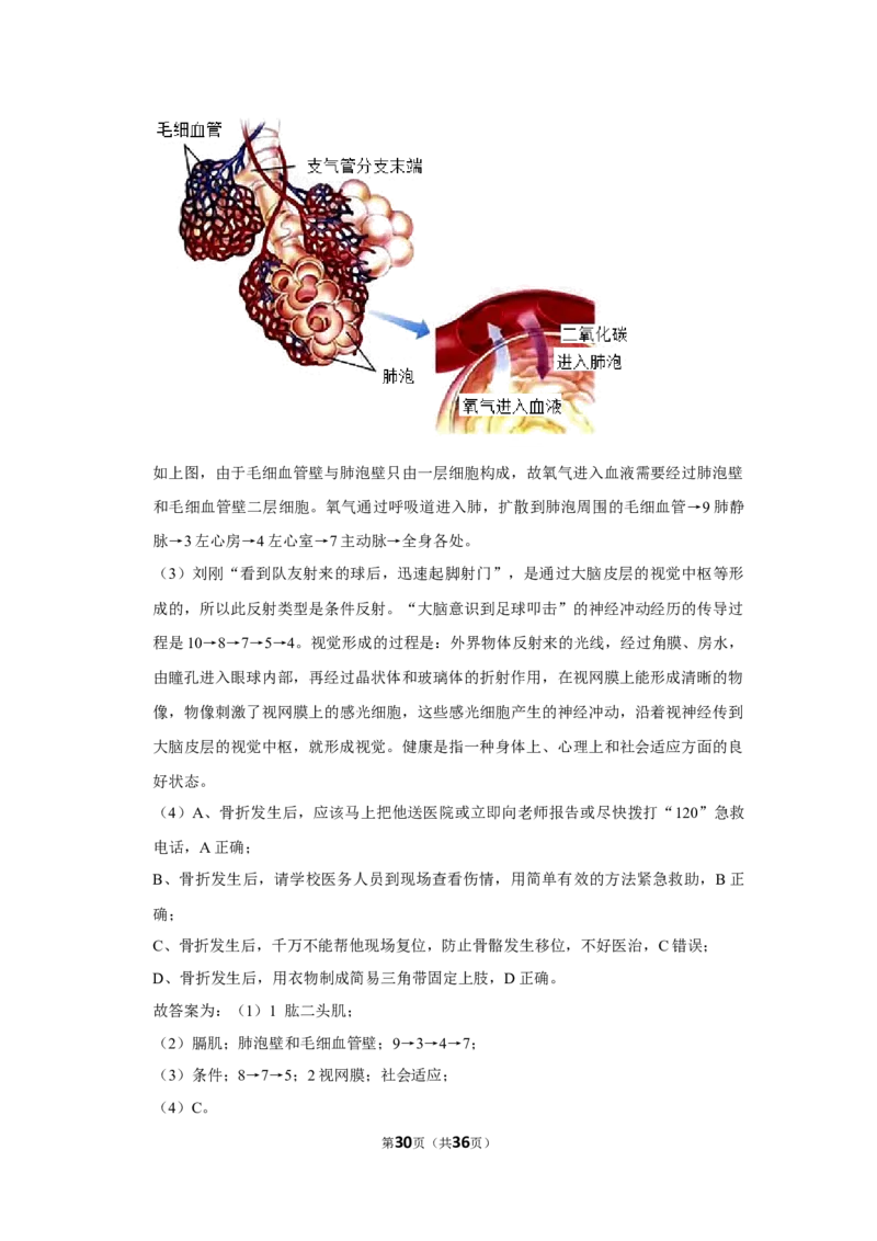 2021年山东省烟台市中考生物真题（解析版）_8.生物中考真题2015-2024年_地区卷_山东省_烟台中考生物08-22