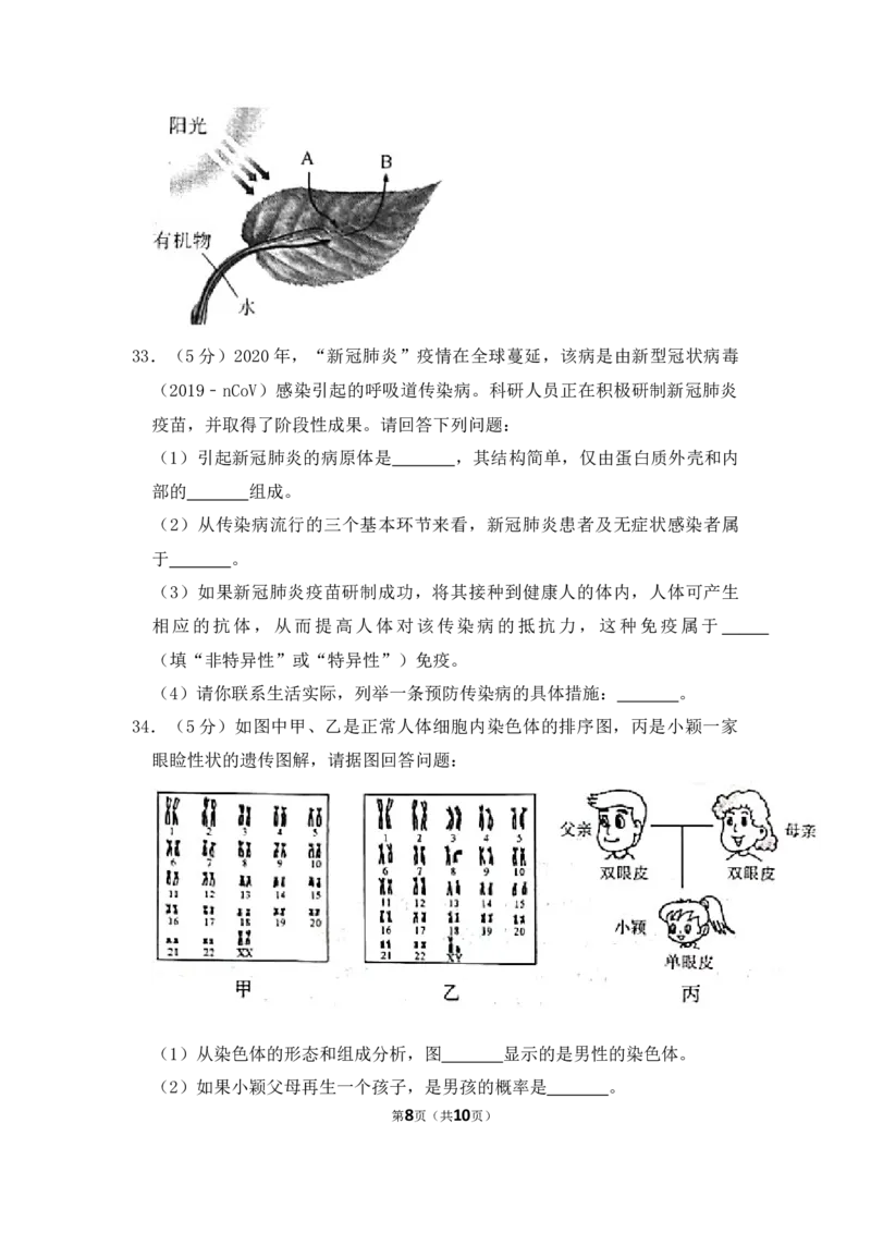 2020陕西省中考生物_8.生物中考真题2015-2024年_地区卷_陕西生物19-21（陕西省统一试卷）