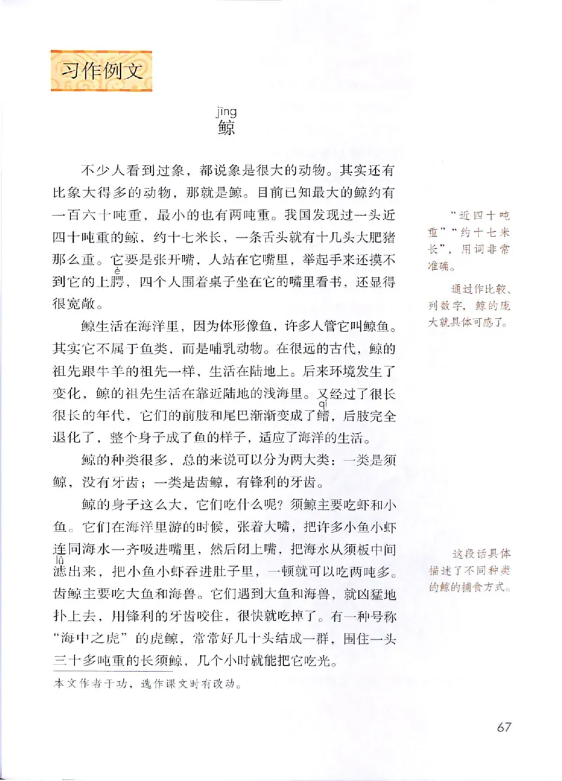 部编版本小学五年级上册-电子课本电子教材资料_小学1-6年级全部试卷_语文_五年级_3-10-1、小学五年级语文上册_3-10-1-4、电子教材、课本