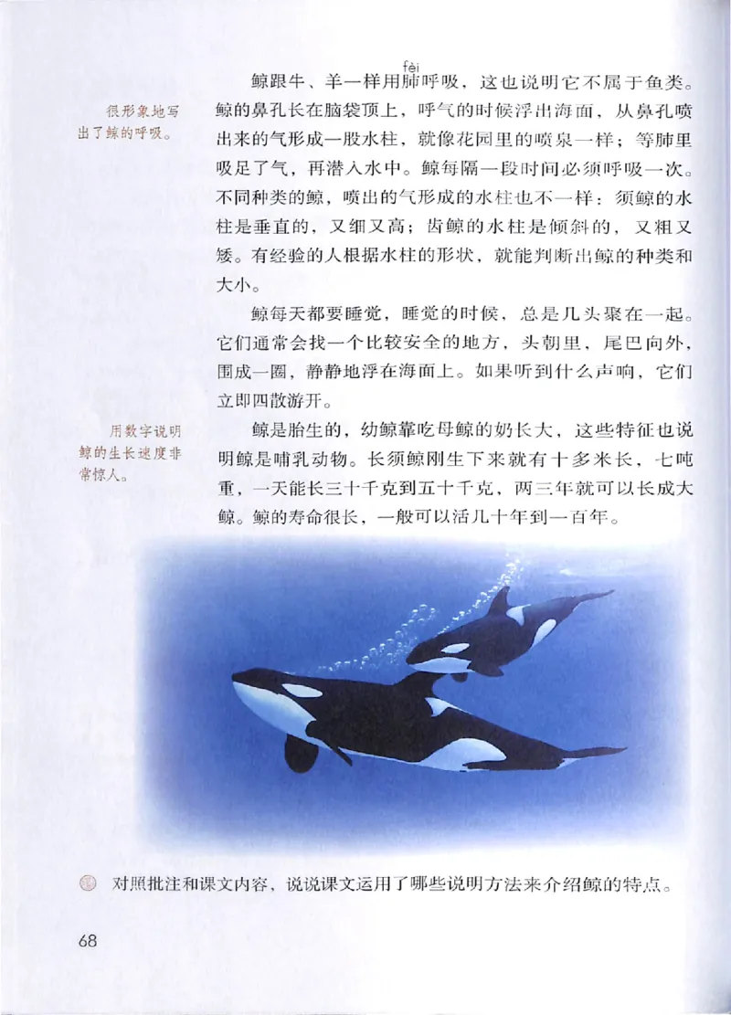 部编版本小学五年级上册-电子课本电子教材资料_小学1-6年级全部试卷_语文_五年级_3-10-1、小学五年级语文上册_3-10-1-4、电子教材、课本