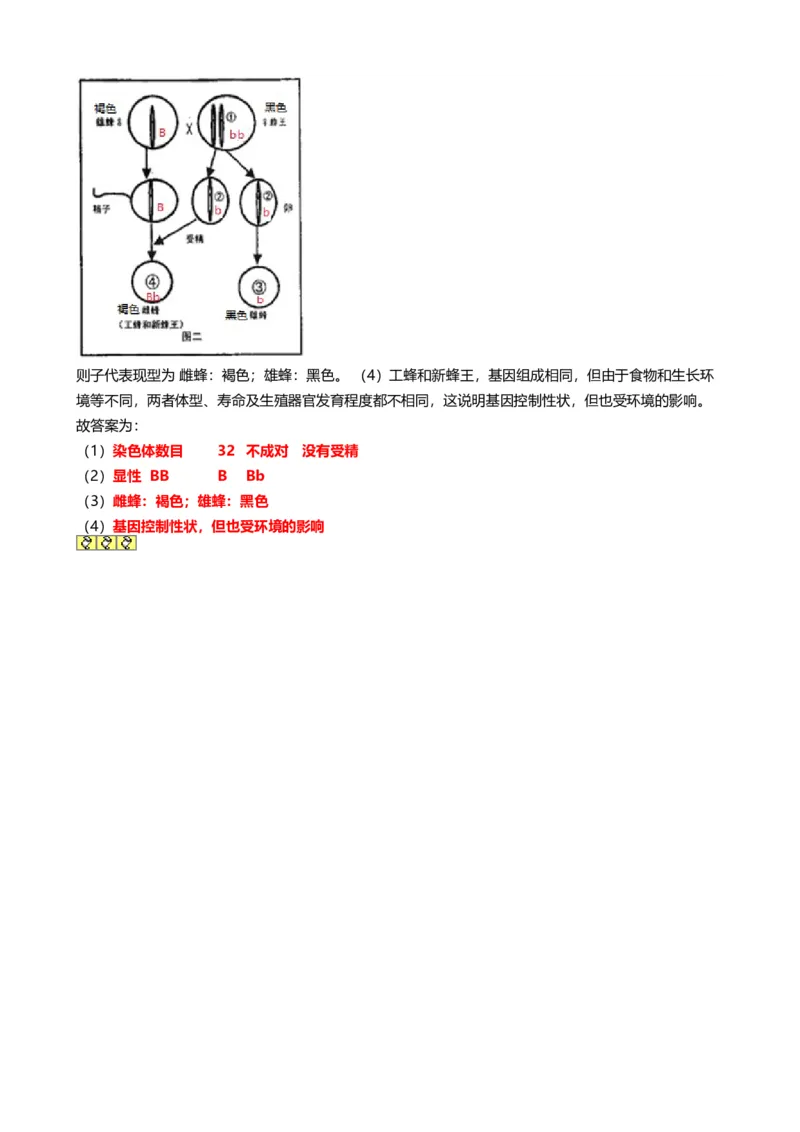 2019年湖南省株洲市中考生物试题（word版，含解析）_8.生物中考真题2015-2024年_2019年全国中考生物92份
