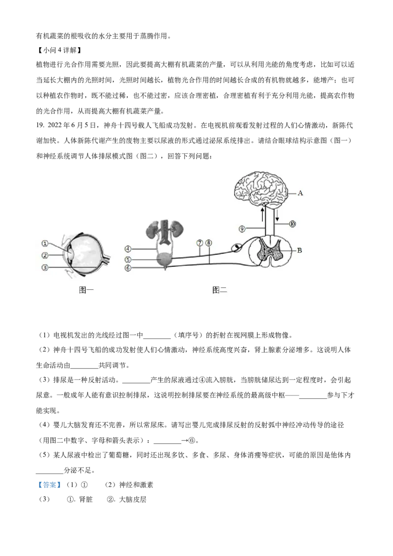 精品解析：2022年广西北部湾经济区中考生物真题（解析版）_8.生物中考真题2015-2024年_2022年全国中考生物114份14