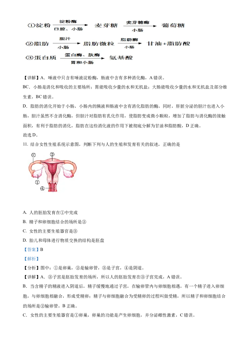精品解析：2022年广西北部湾经济区中考生物真题（解析版）_8.生物中考真题2015-2024年_2022年全国中考生物114份14