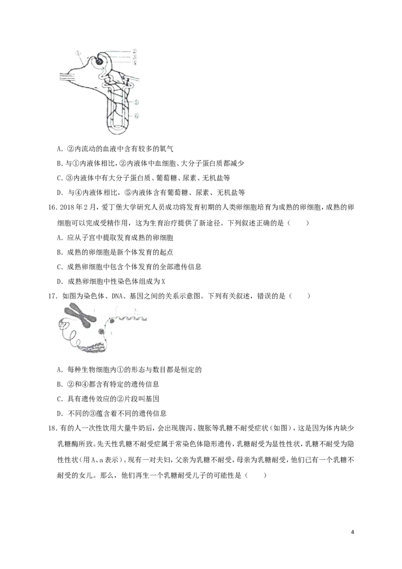 山东省东营市2019年中考生物真题试题_8.生物中考真题2015-2024年_2019年全国中考生物92份