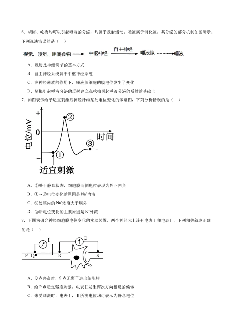 浙江省宁波三锋联盟2025-2026学年高二上学期11月期中联考生物试卷（含答案）_251206浙江省宁波三锋联盟2025-2026学年高二上学期11月期中考试（全）