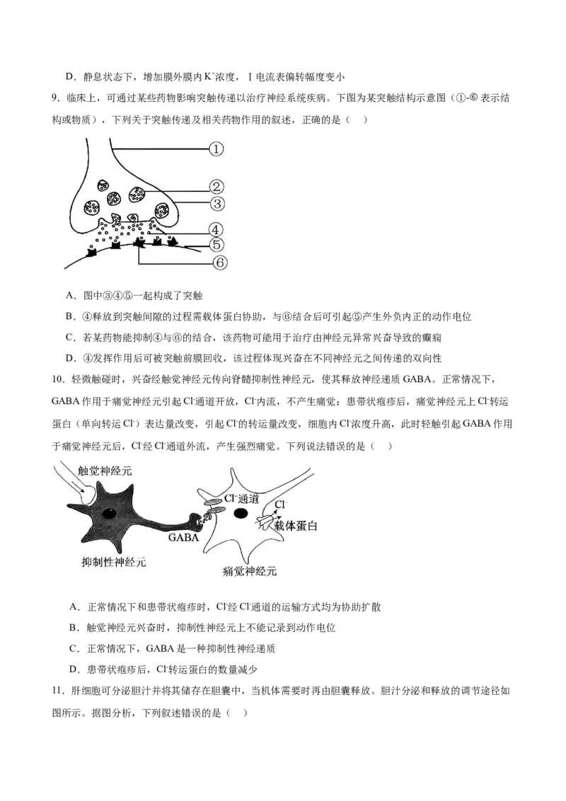 浙江省宁波三锋联盟2025-2026学年高二上学期11月期中联考生物试卷（含答案）_251206浙江省宁波三锋联盟2025-2026学年高二上学期11月期中考试（全）
