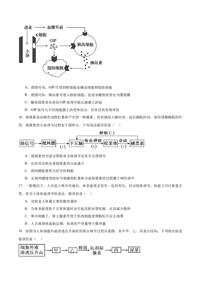浙江省宁波三锋联盟2025-2026学年高二上学期11月期中联考生物试卷（含答案）_251206浙江省宁波三锋联盟2025-2026学年高二上学期11月期中考试（全）
