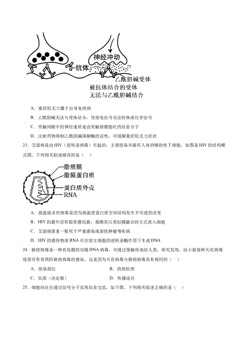 浙江省宁波三锋联盟2025-2026学年高二上学期11月期中联考生物试卷（含答案）_251206浙江省宁波三锋联盟2025-2026学年高二上学期11月期中考试（全）