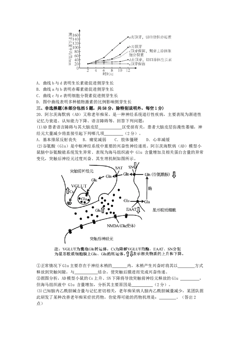高二生物试卷_251211江苏省无锡市江阴市六校联考2025-2026学年高二上学期11月期中_江苏省无锡市江阴市六校联考2025-2026学年高二上学期11月期中生物试题（有答案）