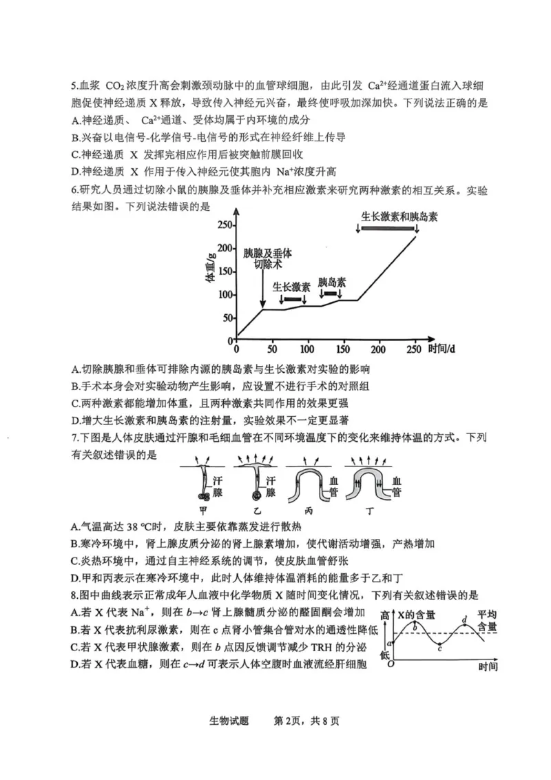 泸县普通高中共同体2025年秋期高二期中联合考试生物学试题_251206四川省泸州市泸县普通高中共同体2025-2026学年高二上学期11月期中