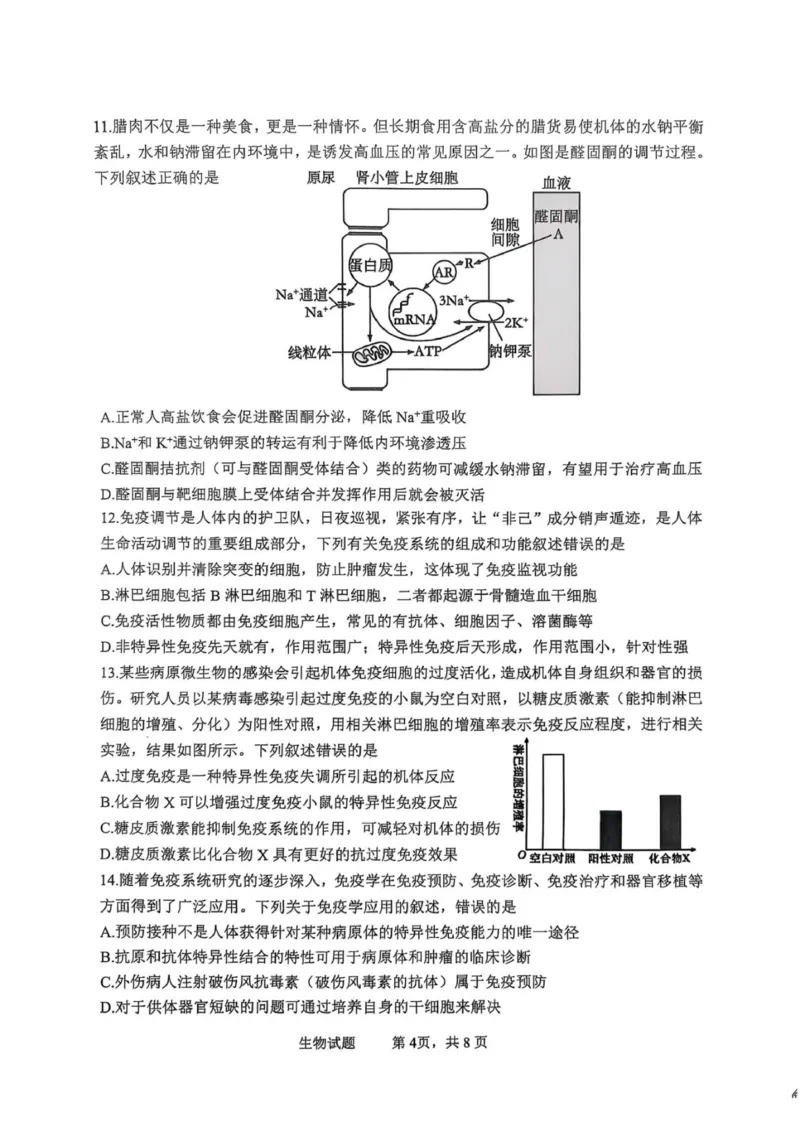 泸县普通高中共同体2025年秋期高二期中联合考试生物学试题_251206四川省泸州市泸县普通高中共同体2025-2026学年高二上学期11月期中