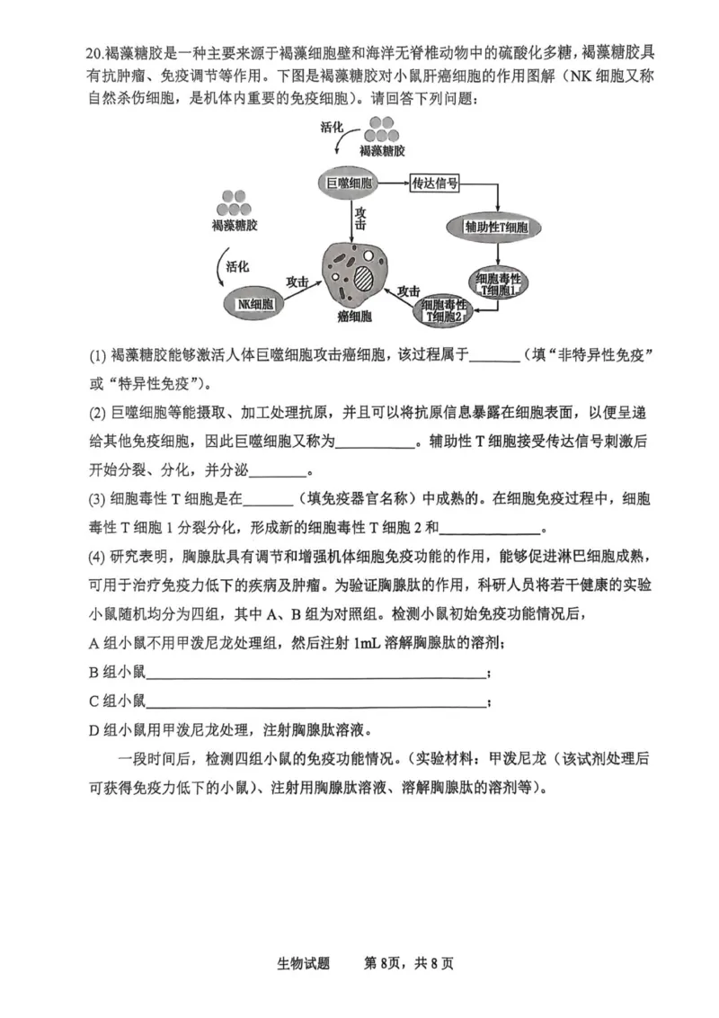 泸县普通高中共同体2025年秋期高二期中联合考试生物学试题_251206四川省泸州市泸县普通高中共同体2025-2026学年高二上学期11月期中