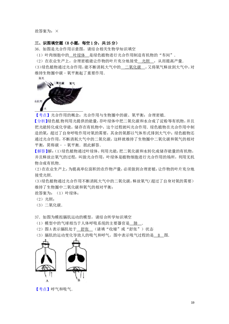 广西玉林市崇左市2016年中考生物真题试题（含解析）_8.生物中考真题2015-2024年_2016年全国中考生物74份