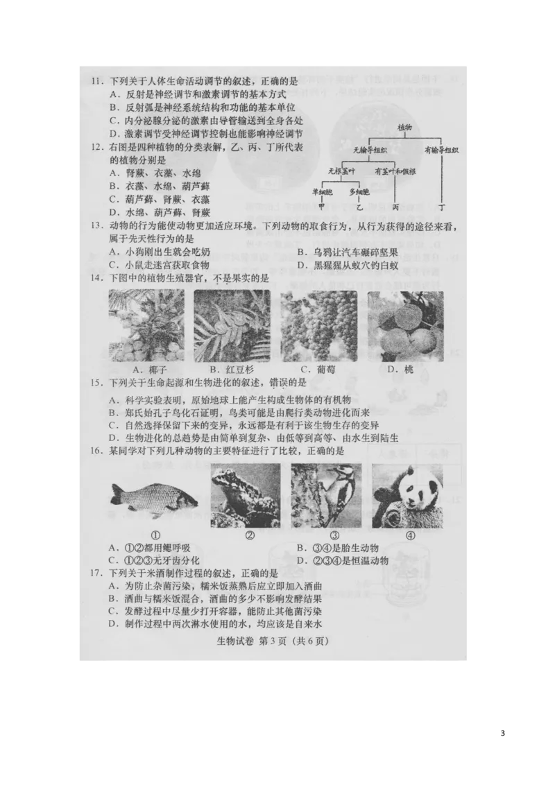 安徽省桐城市2016年中考生物真题试题（扫描版，含答案）_8.生物中考真题2015-2024年_2016年全国中考生物74份