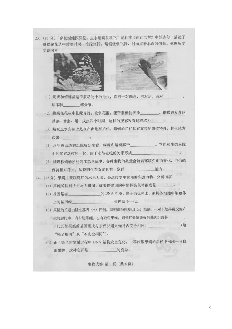 安徽省桐城市2016年中考生物真题试题（扫描版，含答案）_8.生物中考真题2015-2024年_2016年全国中考生物74份